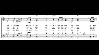 Hymne du Jubilé de Cotignac [upl. by Rexer]