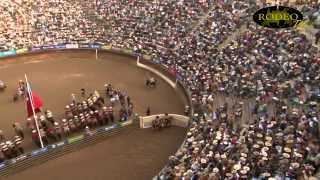 Campeonato Nacional de Rodeo Rancagua 2014  3er y 4to Animal Serie de Campeones [upl. by Yadrahs373]