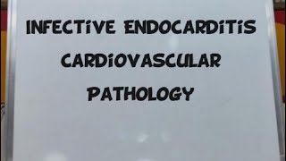 Infective endocarditis cardiovascular pathology part 2 [upl. by Idnis]