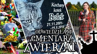 Odwiedziłam CMENTARZ DLA ZWIERZĄT ✞ Łzy same cisnęły mi się do oczu 😭 Jak wyglądają GROBY ZWIERZĄT [upl. by Adorne]