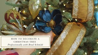 How to Decorate a Christmas Tree Professionally with Brad Schmidt [upl. by Kciredohr]