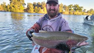 Ep 289 SteelHead Fishing with Rob Stoddard Guide Services [upl. by Eahs]