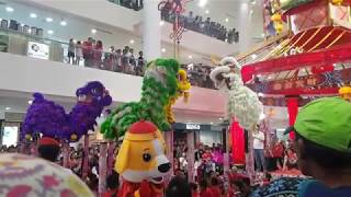 Yick Nam Lion Dance 2018 [upl. by Andeee]