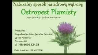 Ostropest plamisty ze zbioru 2014 już w sprzedaży [upl. by Cherrita374]