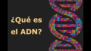 ¿Qué es el ADN [upl. by Flossie]