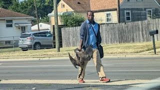 911 Call Haitian quotmigrantsquot Killing Geese in Public Park [upl. by Jamieson193]