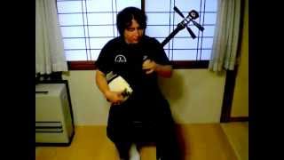 Shamisen Lesson Aiya bushi conclusion [upl. by Tsirc463]