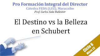 Ciclo 6 Micro 22 El Destino vs la Belleza en Schubert [upl. by Teador565]