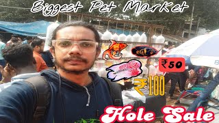 Sunday Fish Market At Galiff Street Biggest Fish Market PetLoversIndia [upl. by Trevorr]