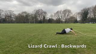 Lizard Crawl  Backwards [upl. by Marrissa176]