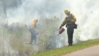 Gainesvilles Prescribed Fire Program [upl. by Mariko634]