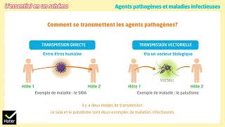 9 1 Schéma bilan Agents pathogènes et maladies infectieuses [upl. by Bil435]