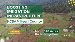 KCSAP  Food Security Success Through Irrigation  Nyeri County [upl. by Lihcox]