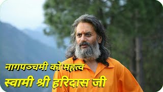 Swami shree haridash ji Naag panchami special [upl. by Nylkcaj405]