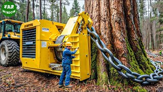 355 Extreme Dangerous Fastest Big Chainsaw Cutting Tree Machines  Heavy Machinery 6 [upl. by Mayhew381]