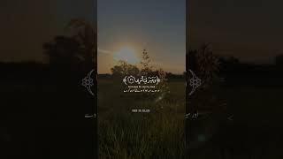 Rabbish Rahli sadri Wa Yassirli Amri  Dua islam shorts youtubeshorts [upl. by Parsons273]