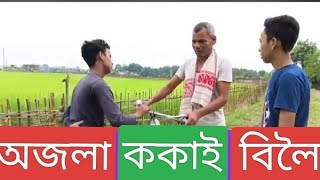 Ajola kokai biloi ☺️☺️☺️Assamese comedy video [upl. by Alomeda484]