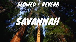 Savannah Slowed and reverbncs diviners [upl. by Fugere]