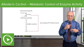 Allosteric Control – Metabolic Control of Enzyme Activity  Biochemistry [upl. by Mano]