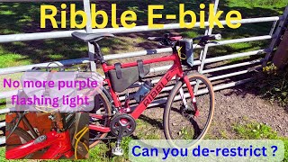 Can you derestrict a Ribble ebike  purple fault light gone [upl. by Aneekas846]