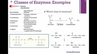 035Classifying amp Naming Enzymes [upl. by Penland]