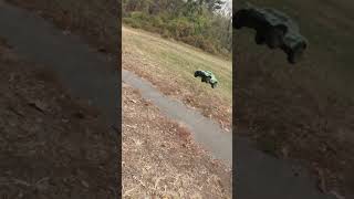 Traxxas Maxx Slash 6S vs rccar arrma [upl. by Gustafson120]