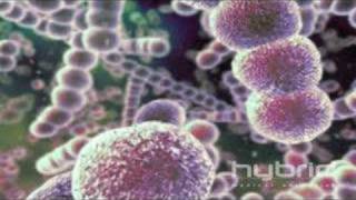 Streptococcus Pneumoniae Hybrid Medical Animation [upl. by Llerut371]