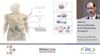 What is Immunotherapy amp Its Mechanisms of Action [upl. by Enovahs]