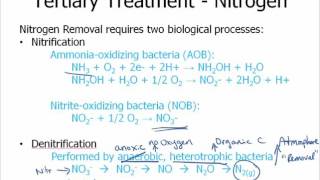 Wastewater Treatment  Nutrient Removal Intro [upl. by Clausen]