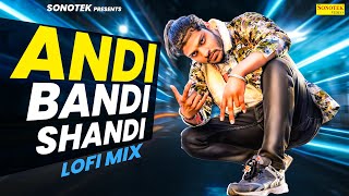 Andi Bandi Shandi Kar Du  Lofi Song  New Haryanvi Songs Haryanavi 2024  Lofi Haryanvi Song 2024 [upl. by Kaz]