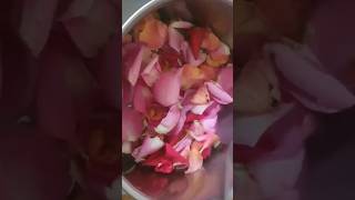 Best use of Rose petals Rose petals diy shorts hack diy rosepetals recipe [upl. by Enilekaj]