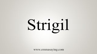 How To Say Strigil [upl. by Nedrob]