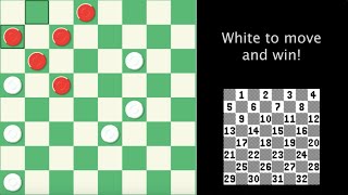 Checkers grandmaster loses in a most glorious manner [upl. by Laniger]