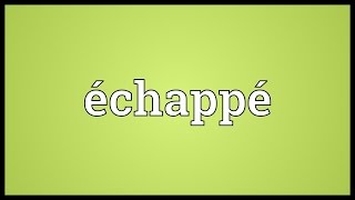 Échappé Meaning [upl. by Golightly]