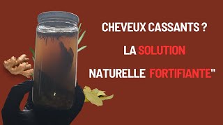 quotDIY  Lotion Capillaire AntiChute et Fortifiante  Facile et Efficace quot [upl. by Anaeed]