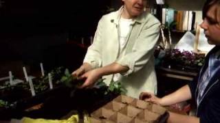 How to Plant in Peat Pots [upl. by Hugon]