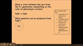 612 Patterns of Inheritance b Dihybrid Inheritance [upl. by Hazem]