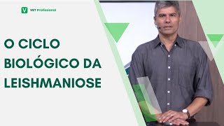 Tudo que você precisa saber para entender a Leishmaniose [upl. by Zanlog]