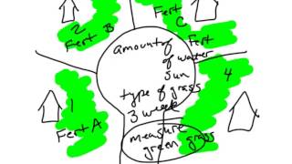 Scientific Method  Constant vs Control [upl. by Enialahs]