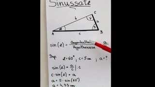Sinus  Erklärung [upl. by Nosde]