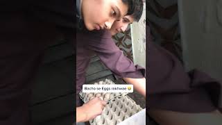 Placing Eggs In Incubator Again 🥚🐣chicks hatching incubator shorts ytshorts [upl. by Fleece]