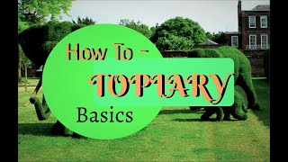 How To Topiary  Basics [upl. by Ahsan]