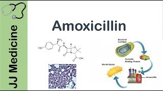 Amoxicillin  Bacterial Targets Mechanism of Action Adverse Effects  Antibiotic Lesson [upl. by Varick321]