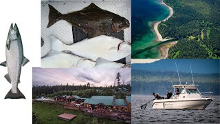 FISHING IN HAIDA GWAII 65 FISH CAUGHT [upl. by Dacie]