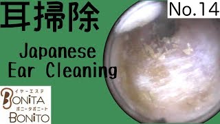 Cozy Japanese Ear Cleaning 14 [upl. by Suk]