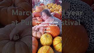 Fruitville Grove Pumpkin festival pumpkinfestival sarasota florida 2024 [upl. by Brieta551]