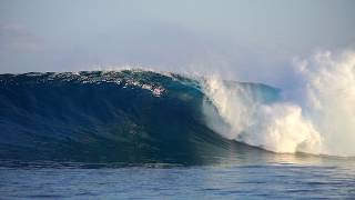 SURFING PERFECT WAVES in the Maldives  Niyama Private Islands  Luxury Surf Resort [upl. by Carew]