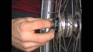 Reparatur Nabendynamo Shimano DH3N80 03 Demontage [upl. by Renick]