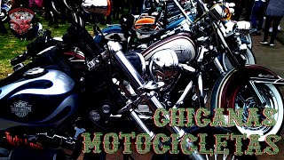 Motocicletas chicanas 2024 [upl. by Cas]