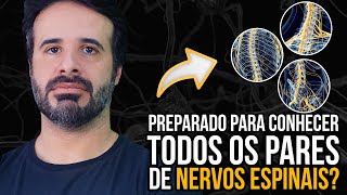 PREPARADO PARA CONHECER TODOS OS PARES DE NERVOS ESPINAIS [upl. by Mervin]